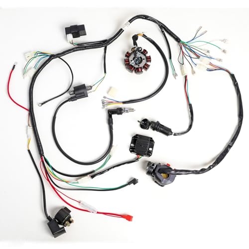 Complete Wiring Harness Kit for 150cc 200cc 250cc 300cc ATV Quad Buggy Go Kart Dirt Pit Bike, Zongshen Lifan Includes CDI, Stator Coil, Rectifier, Solenoid Relay, Ignition Coil, Switch, Spark Plug