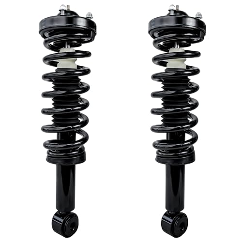Detroit Axle - RWD Front Struts for 2009-2013 Ford F-150 - size: 171140-DA x2/PAIR