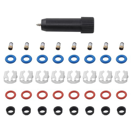 8 Set Fuel Injector Repair Seal Kit w/Micro Filter Removal Tool
