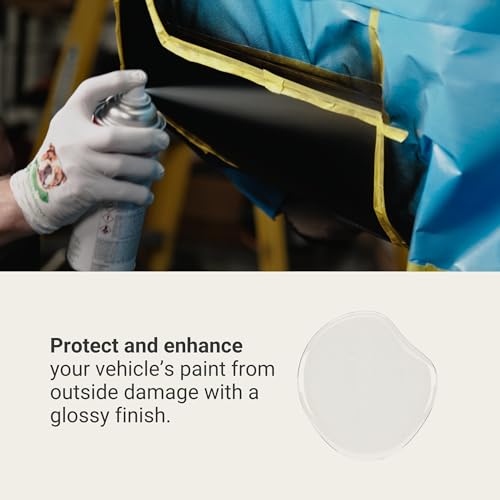 TouchUpDirect High Gloss Clearcoat Aerosol Spray Can - size: 12 Ounce (Pack of 1)