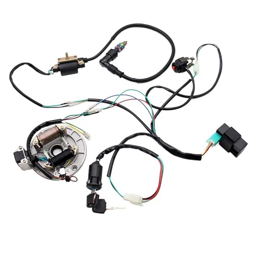 PRO BAT Lifan Kick Start Wiring Harness 2-Coil Stator 5-Pin AC CDI