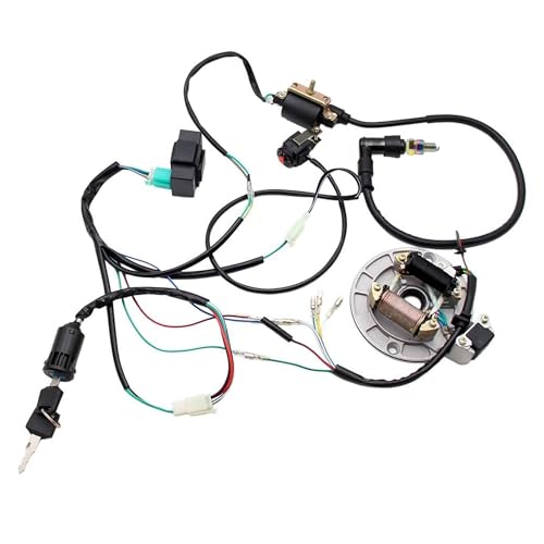 PRO BAT Lifan Kick Start Wiring Harness 2-Coil Stator 5-Pin AC CDI