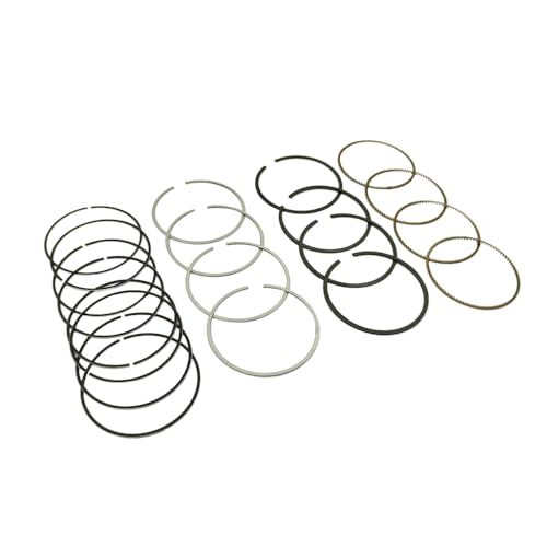 STD Engine Piston Rings Set Compatible with Buick Chevy Cruze Encore 2011-2015 1.4L L4 DOHC,Replace Piston Ring STD 25195065,55571045 - color: 25195065 Engine Piston Ring