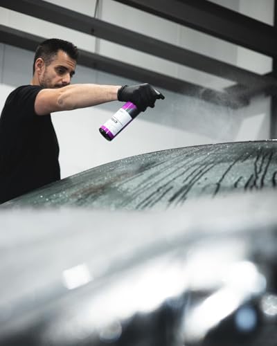 CARPRO IronX Iron Remover: Stops Rust Spots and Pre-Mature Failure of the Clear Coat, Iron Contaminant Removal - 500mL with Sprayer (17oz) - style: 500mL (17oz)