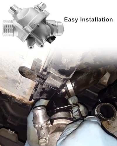 Engine Coolant Thermostat Assembly