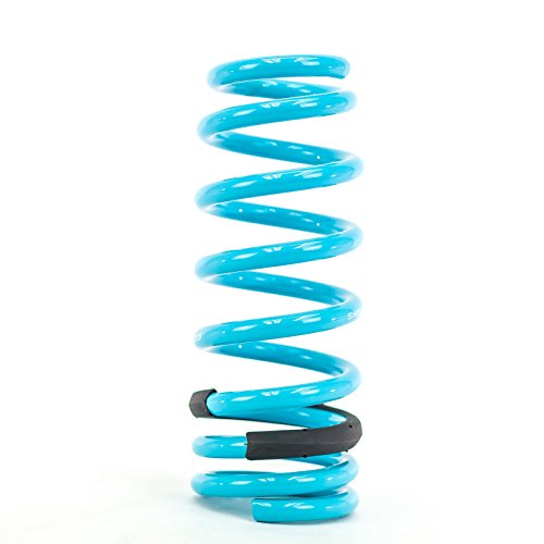 Godspeed LS-TS-II-0003-A Traction-S Performance Lowering Springs For Infiniti G37x Sedan AWD (V36) 2009-2013