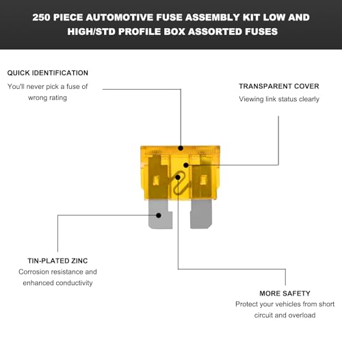 250PCS Car Fuses Assortment Kit, Low Profile Mini Blade Fuses (5A 7.5A 10A 15A 20A 25A 30A), Low Tall/STD Box Shaped Assorted Fuse, Automotive Fuses Kit for Car, Truck, RV, Boat