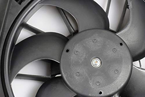 620-039 5137714AA Engine Radiator Dual Cooling Fan for Dodge Chrysler 300 Challenger Charger Base Magnum SRT8 SXT LX Signature 2005-2006 2007 2008 2009 2010 5137713AA 5174358AA CH3115132