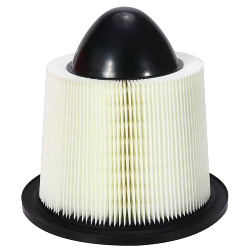 Engine Air Filter Replacement F6ZZ-9601-AA Compatible with Ford & Lincoln Models -for F-150 F-250, F-350 F-450 F-550 Super Duty, Mustang, Expedition, Excursion Replace# CA8039 - style: F6ZZ-9601-AA
