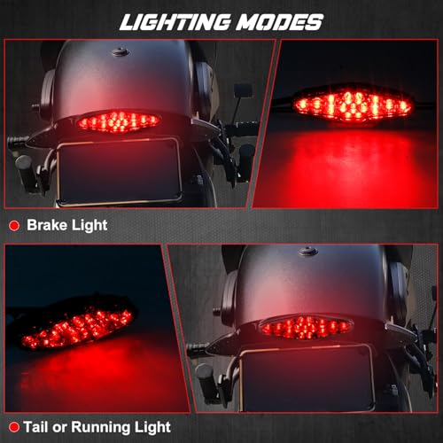 NTHREEAUTO Universal Motorcycle Tail Light LED Brake Running Lights with License Plate Bracket, ATV Dirt Bike Taillight Compatible with Honda Yamaha Suzuki Quad Chopper Turing Cruiser Off-Road