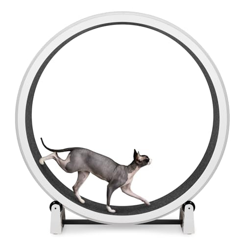 One Fast Cat - Cat Exercise Wheel - Made in the USA - 48" Diameter - Gen. 7 - color: White Wheel / Black Felt / Solid Black Inline