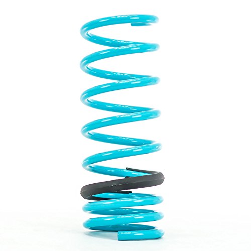 Godspeed LS-TS-FD-0005 Traction-S Performance Lowering Springs, Reduce Body Roll, Improved Handling, Set of 4, compatible with Ford Focus ST 2014-2019