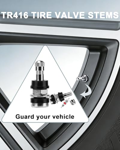 Riseuvo TR416 Metal Clamp-in Tire Valve Stems, 25Pcs