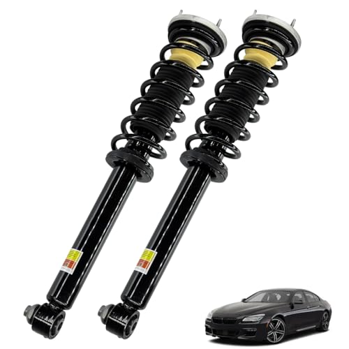 33526784015 2 Packs Rear Shocks Absorber Struts Assembly Compatible With BMW F06 F10 F11 F12 F13 F18 2WD xDrive, for BMW 528i 535i 550i 2011-2016, for BMW 640i 650i 2013-2019 33526784019 Left & Right