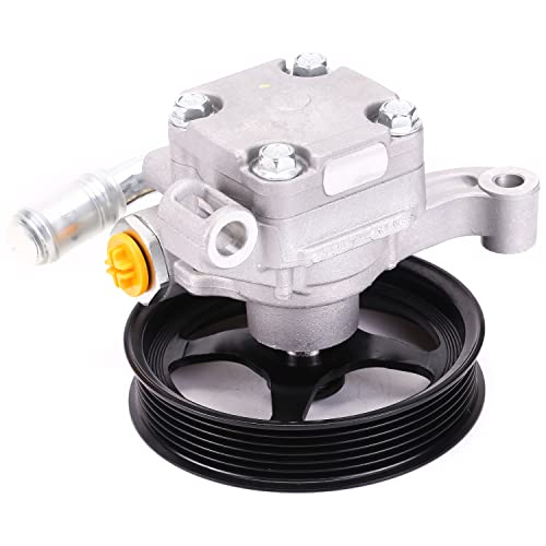 20954812 Power Steering Pump with Pulley Compatible with Buick Chevy GMC Saturn 2008-2017 20-2403 96-2403