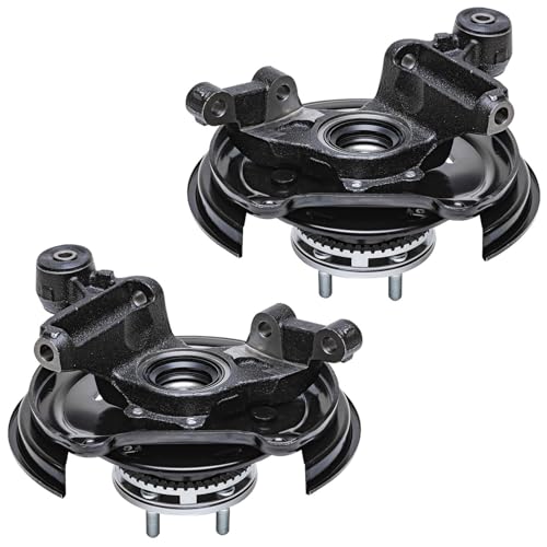 Detroit Axle - Rear Steering Knuckles & Wheel Hub Bearings Struts w/Coil - size: 4QU48640/ Big strut kit