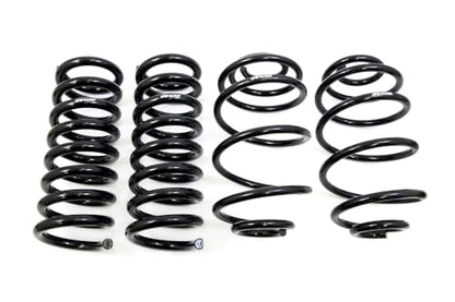 UMI Performance 4051 Lowering Spring Set