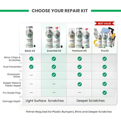 ERA Paints - WA213M/GIW - Graystone Metallic for GMC Exact OEM Color Match Automotive Touch Up Paint for Cars - Spray Paint with Premium Spray Nozzle - Essential Kit - Made in USA - style: Spray - Essential Kit