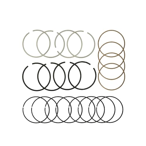 STD Engine Piston Rings Set Compatible with Buick Chevy Cruze Encore 2011-2015 1.4L L4 DOHC,Replace Piston Ring STD 25195065,55571045 - color: 25195065 Engine Piston Ring