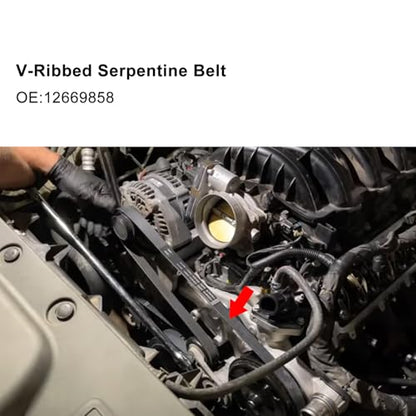 V-Ribbed Serpentine Belt & Air Conditioning Compressor Belt for Silverado