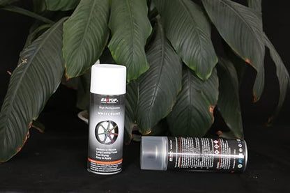 EASTUP Premium Clear Acrylic Enamel Wheel Paint - Brilliant Finish, High Durability, Fade-resistant, Quick Drying Rim Coating Spray Paint. - color: 28A#190-Clear