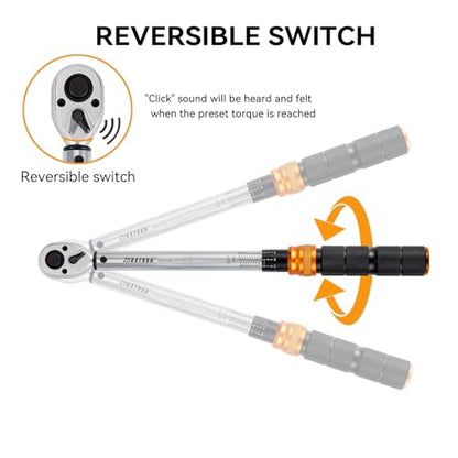 1/2 Inch Drive Click Torque Wrench Set for Tire Changes | 10-170 ft-lb/13.6-230.5 Nm, ±3% Accuracy, 17/19/21 mm Lug Nut Sockets, 72-Tooth Ratchet, Storage Case - size: 1/2" Drive, 6-Piece