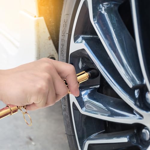 Tallew 20 Pack Dual Head Tire Pressure Gauge Heavy Duty Air Pressure Tire Gauge for Auto Truck Car RV Van Gage Range 10-150PSI, 1-10Bar (Gold) - color: Gold