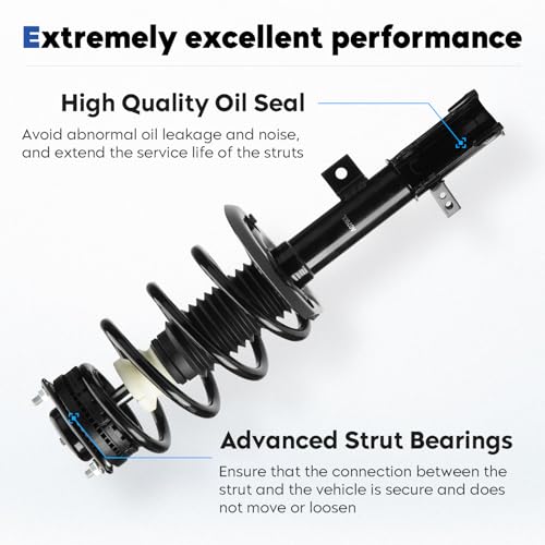Front Struts Assembly Fit for Dodge Journey 3.6L V6 Engine 2009-19