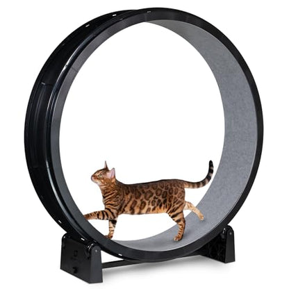 One Fast Cat - Cat Exercise Wheel - Made in the USA - 48" Diameter - Gen. 7 - color: Black Wheel / Gray Felt / Black Inline