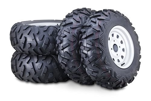 WANDA ATV Tire and Wheel Set 25x8-12 25x10-12 on 4x110mm PCD 5+2 Silver Rim - size: 4x110mm 5+2 wheel