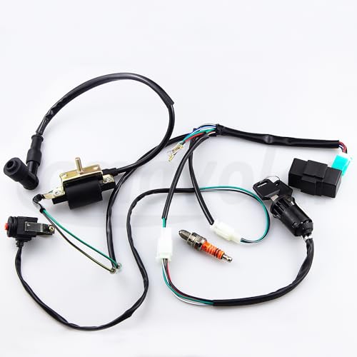 Wire Harness Wiring Loom CDI Ignition Coil Spark Plug Rebuild Kit Aftermarket Replacement Parts Fits for 50cc 70cc 90cc 110cc 125cc Stator CDI Coil ATV Quad Bike Buggy Go Kart Motorcycle.