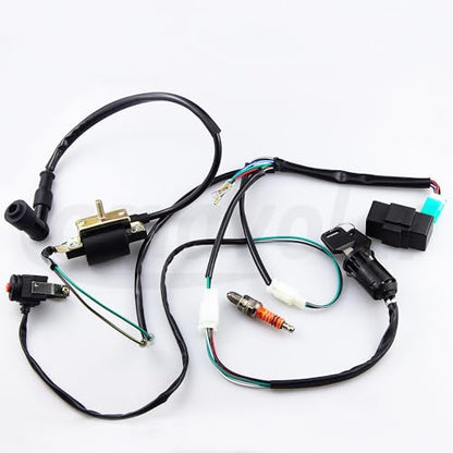 Wire Harness Wiring Loom CDI Ignition Coil Spark Plug Rebuild Kit Aftermarket Replacement Parts Fits for 50cc 70cc 90cc 110cc 125cc Stator CDI Coil ATV Quad Bike Buggy Go Kart Motorcycle.