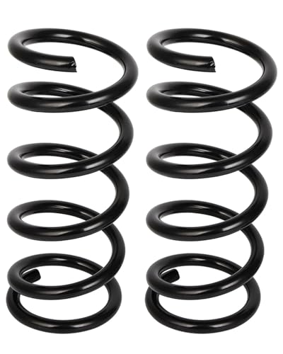 SCITOO 2PCS Rear Suspension Coil Spring Fit 13-16 for Nissan for Pathfinder