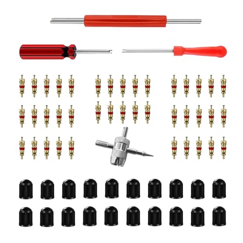 GLSOWEE Tire Valve Stem Puller Installer Tool Kit, 40Pcs Valve Cores & 20Pcs Valve Caps, 2Pcs Single Head Tire Valve Core Remover, 4-Way Valve Tool & Dual Head Puller - size: 64PCS