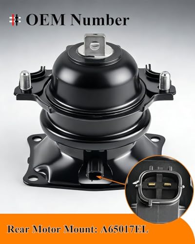 4Pcs Engine Motor Mount & Trans Mount Kit for 2011 2012 2013 Odyssey 3.5L - size: 2011-2013 Honda Odyssey 3.5L V6 6-SPD