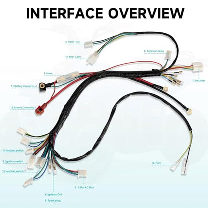 Complete Electrics Wiring Harness Kit for 4 Stroke ATV KLX (50cc 70cc 110cc 125cc) Quad Dirt Bike Go Kart taotao Stator Coil CDI Solenoid Spark Plug