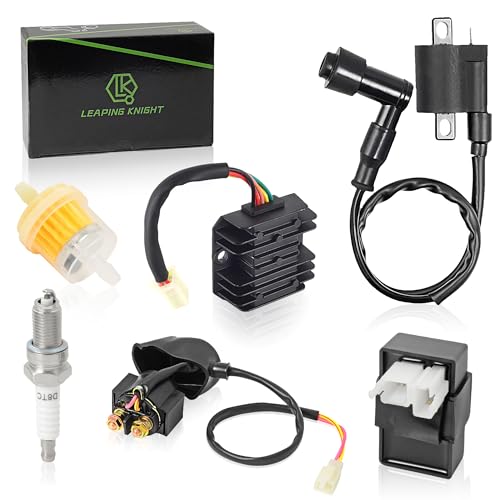 Ignition Kit for CG 125cc 150cc 200cc 250cc ATV Quad Go Kart Moped Scooter