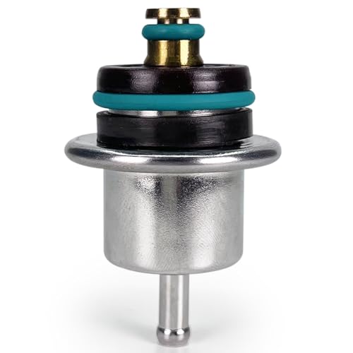 Fuel Pressure Regulator PR317 Compatible with Ford E-150 E-250 E350 E-450 E-550 Excursion F-150 F-250 F-350 F-450 F-550 F53 Taurus Windstar Mercury Sable #0280160527 217-3073 PR203 PR217