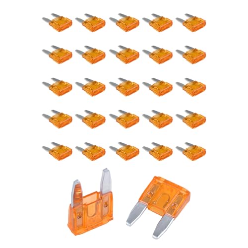 5 PCS 5 Amp Mini Car Fuses, 5A Automotive Blade Fuse Kit for Short Circuit Protection, Blade Style Fuses Replacement for Car RV Truck SUV Motorcycle, Car Accessories - color: 5A