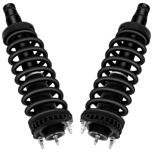 ECCPP Complete Strut Assembly Shock Absorber for Buick Rainer - size: 2*Front Complete Strut