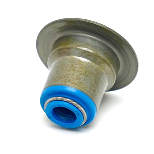 Sloppy Mechanics Stage 1 LS Camshaft Kit - Fits 4.8L 5.3L 5.7L 6.0L 6.2L LS1 LS2 LQ4 LQ9 L33 Elgin 1838-P Cam (Camshaft, .600" Springs, Valve Seals, Pushrods) - size: Camshaft, .600" Springs, Valve Seals, Pushrods