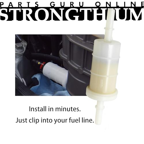 Strongthium 879885Q Fuel Gas Inline Filter