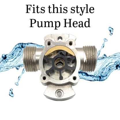 Replacement KIts Overhaul/Repair Kit for Utility Pumps