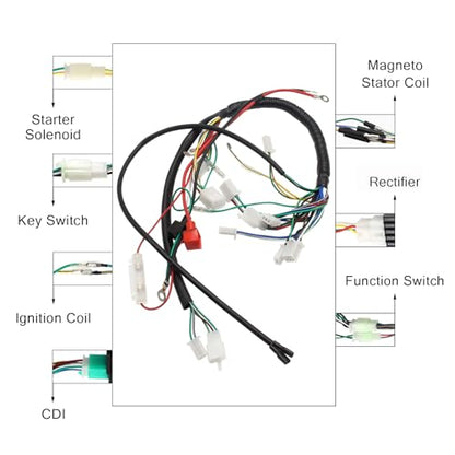 Complete Electric Wiring Harness CDI Stator for Chinese ATV UTV Go Kart Taotao 50cc 70cc 90cc 110cc 125cc
