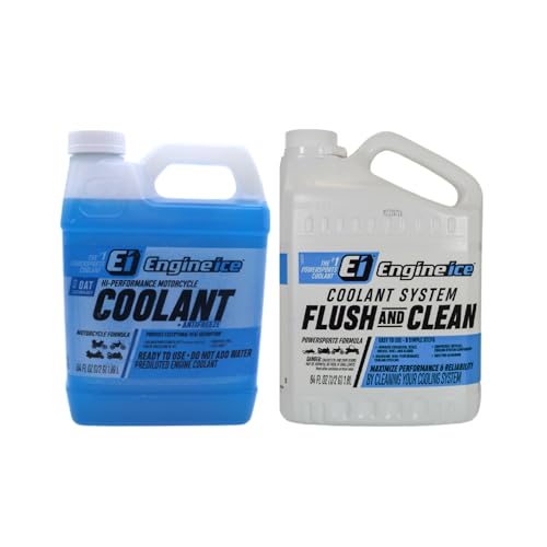 Engine Ice Flush and Clean and Motorcycle Combo Kit, 2 Pack, Purple