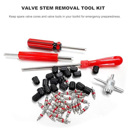 64‬PCS Tire Valve Stem Removal Tool Kit, Dual & Single Head Puller 4-Way Tool w/ 30 Valve Cores & 20 Valves Caps, Tire Stem Core Remover Installation Tools for Most Cars