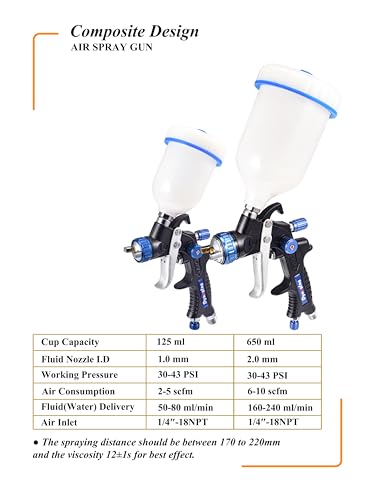 Dynastus Pro Series Gravity Feed Composite HVLP Air Spray Gun Detail Paint Sprayer 2 Pcs Kits, with 1.0, 2.0 Nozzle