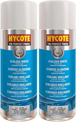 Hycote Fast Drying Aerosol Car Spray Paint, Gloss White, 13.5 Oz (Pack of 2) - color: White (Gloss), size: 13.5 Ounce (Pack of 2)