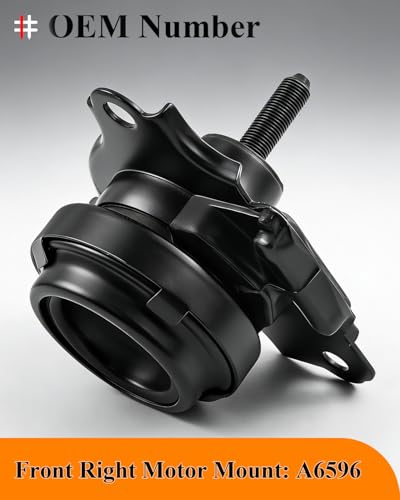 Engine Motor Trans Mount Kit for Honda Element 2003-2010 4WD 2.4L - style: Set of 5 for Honda Element 2003-2010 4WD