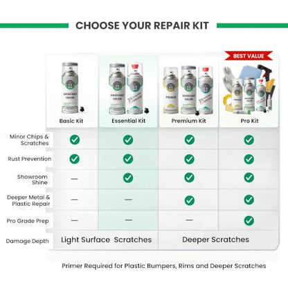 ERA Paints - 788/9788 - Vanadium Silver (Wheel) for MERCEDES-BENZ Exact OEM Color Match Automotive Touch Up Paint for Cars - Spray Paint with Premium Spray Nozzle - Essential Kit w/ 2K 3680061 Clearcoat - Made in USA - style: Spray - Essential Kit w/ 2K 3